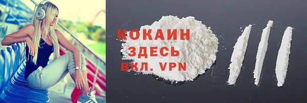 гашик Алексин