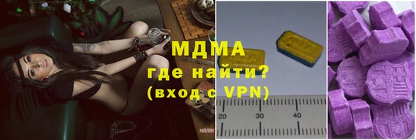 гашик Алексин