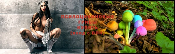 не бодяженный Абдулино