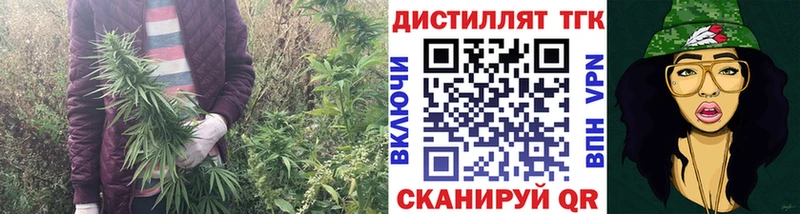 KRAKEN как зайти  Железногорск-Илимский  ТГК жижа 