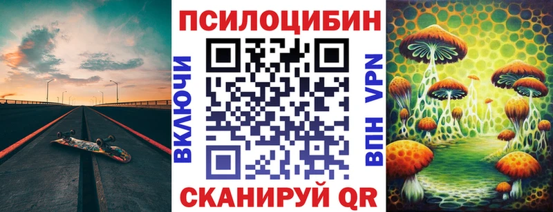 Галлюциногенные грибы Psilocybe  купить  сайты  Железногорск-Илимский 